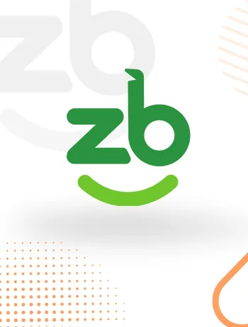 ZB Loan Management System — existing project artwork